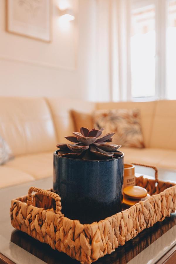 ורבניק Apartman Marina מראה חיצוני תמונה